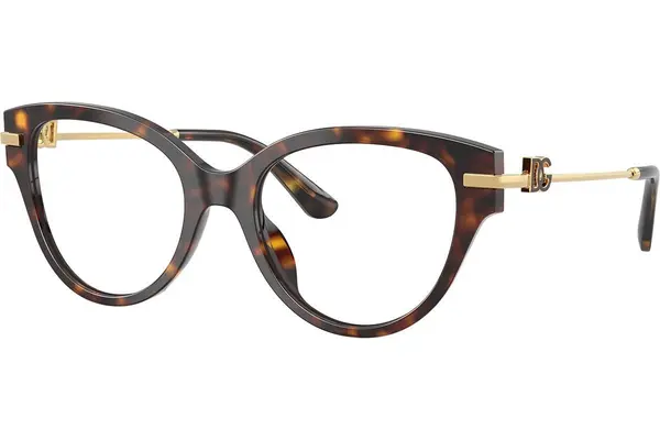 Dolce & Gabbana DG3438 502