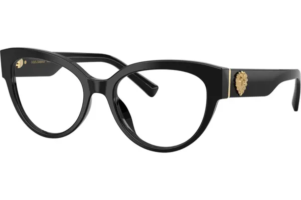Dolce & Gabbana DG3440 501