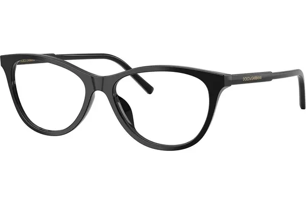 Dolce & Gabbana DG3443 501