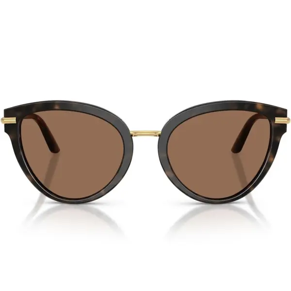 Dolce&Gabbana DG4492 321713 55