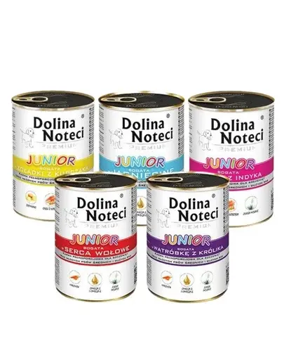 DOLINA NOTECI Junior Premium conserve catelusi 18x400g mix arome