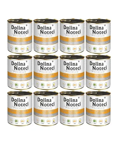 DOLINA NOTECI Premium bogat în rață cu dovleac 12 x 800 g