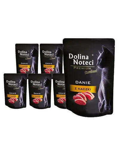 DOLINA NOTECI Premium hrană cu rață pentru pisici 10x85 g