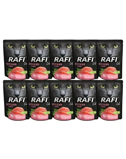 DOLINA NOTECI Rafi Cat mancare umeda pisici, cu somon 10x300 g