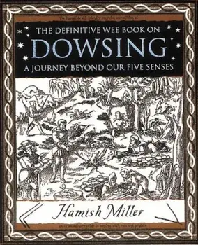 Dowsing, Paperback/Hamish Miller