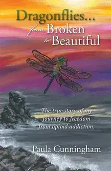 Dragonflies...from Broken to Beautiful, Paperback/Paula Cunningham
