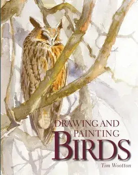 Drawing and Painting Birds, Paperback/Tim Wootton