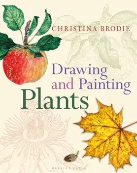 Drawing and Painting Plants, Paperback/Christina Brodie