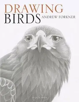 Drawing Birds, Paperback/Andrew Forkner