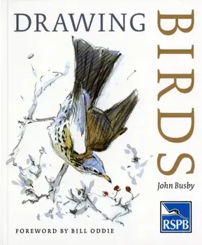 Drawing Birds, Paperback/John Busby