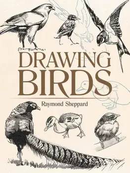 Drawing Birds, Paperback/Raymond Sheppard