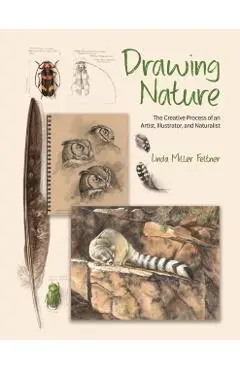 Drawing Nature: The Creative Process of an Artist, Illustrator, and Naturalist - Linda Miller Feltner