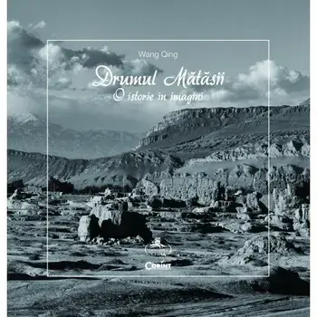 Drumul matasii. O istorie in imagini/Wang Qing