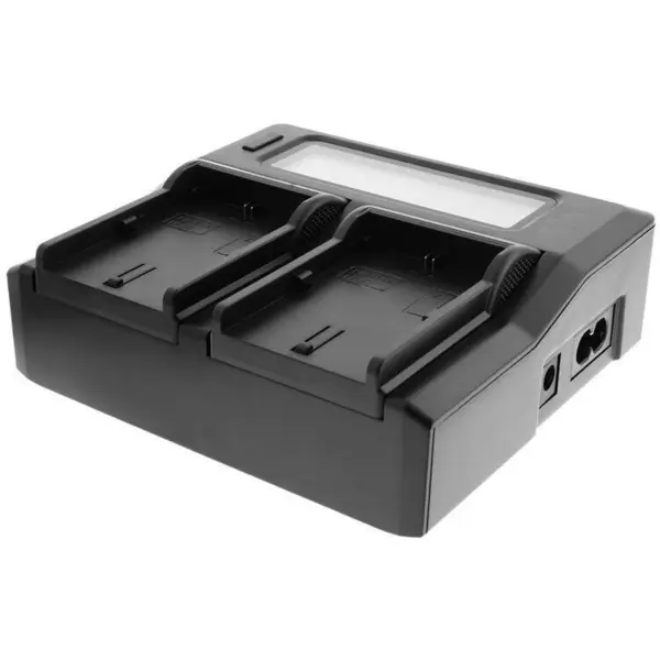 DSTE Incarcator Dste LCD dual DMW-BLF19 compatibil Panasonic