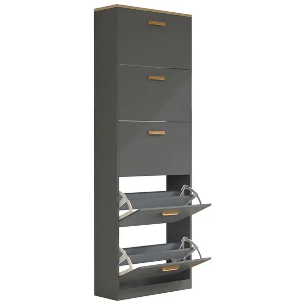 Dulap Pentru Pantofi 59/170/22 cm