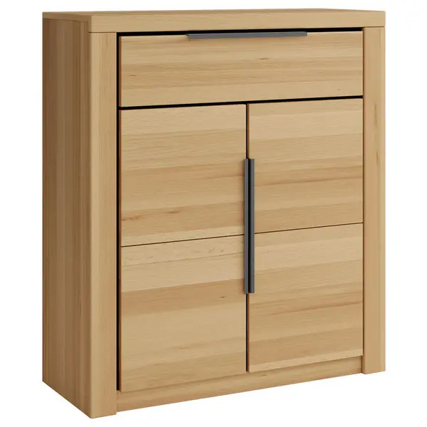 Dulap Pentru Pantofi 80/107/40 cm