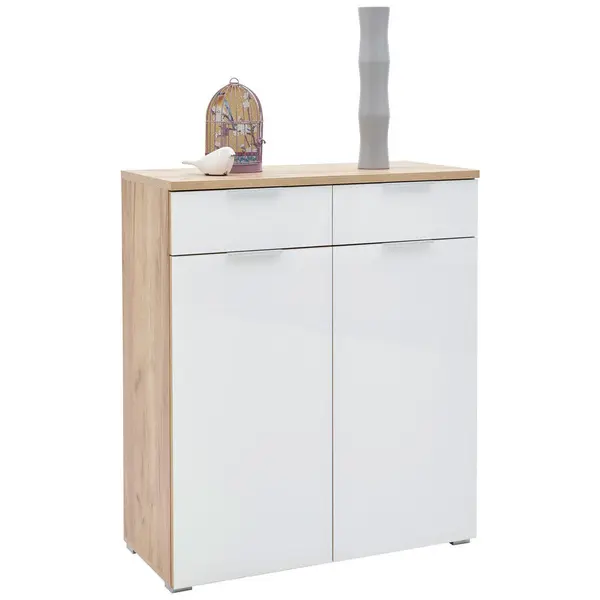 Dulap Pentru Pantofi 89/105/40 cm