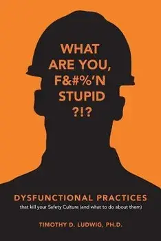 Dysfunctional Practices: That Kill Your Safety Culture (and What to Do about Them), Paperback/Timothy D. Ludwig Ph. D.