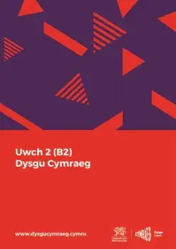 Dysgu Cymraeg: Uwch 2 (B2), Paperback/***