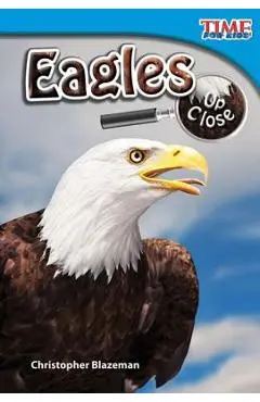 Eagles Up Close - Christopher Blazeman