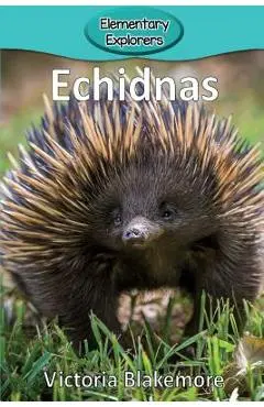 Echidnas - Victoria Blakemore