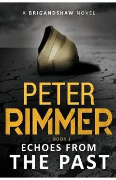 Echoes from the Past: The Brigandshaw Chronicles Book 1 - Peter Rimmer