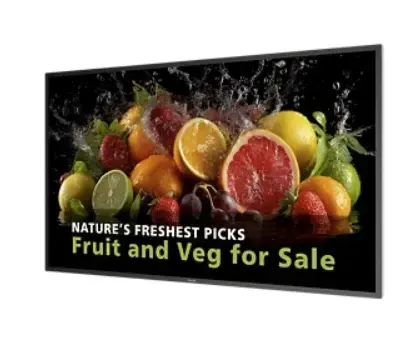 Ecran Profesional VA LED Philips 49.5inch 50BDL5050D/00, UHD (3840 x 2160), HDMI, DisplayPort, Boxe (Negru)