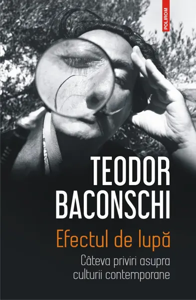 Efectul de lupă. Câteva priviri asupra culturii contemporane