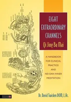 Eight Extraordinary Channels: Qi Jing Ba Mai: A Handbook for Clinical Practice and Nei Dan Inner Meditation, Paperback/David Twicken