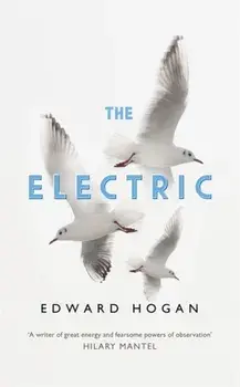 Electric, Hardback/Edward Hogan