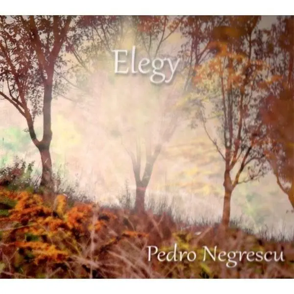 Elegy | Pedro Negrescu