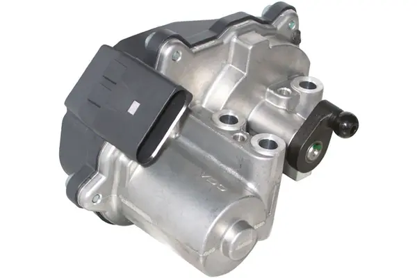 Element reglaj, clapeta comutare (galerie admisie) Continental/VDO A2C59511696