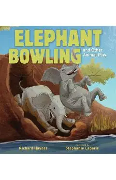Elephant Bowling and Other Animal Play - Richard Haynes
