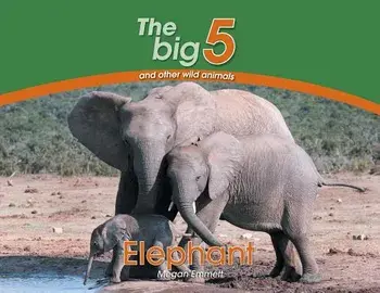 Elephant. The Big 5 and other wild animals, Paperback/Megan Emmett