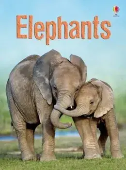 Elephants, Hardcover/***