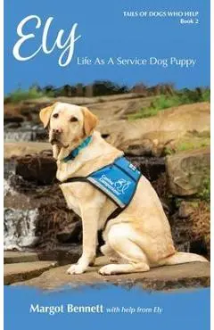 Ely, Life As A Service Dog Puppy - Bennett