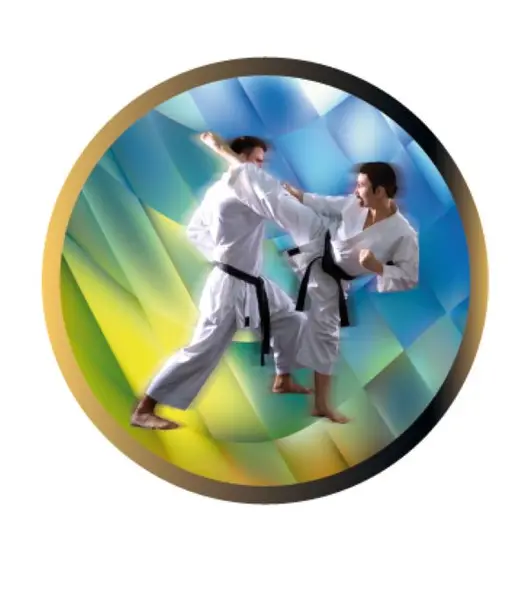 Emblema pentru medalie cupa simbol Arte Matiale 50mm - Colorata