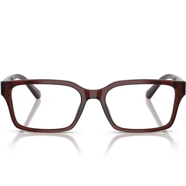 Emporio Armani EA3244 6174 55