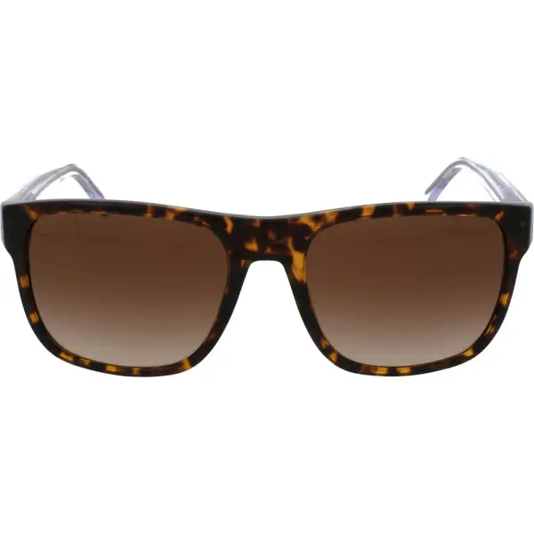 Emporio Armani EA4163 5879/13 56