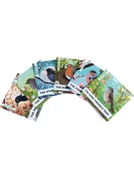 Enchanted Nature - Garden Birds Pack. Pack of Six Decodable Readers (Ages 5-7), Paperback/Caroline Petherbridge