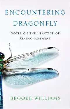 Encountering Dragonfly: Notes on the Practice of Re-Enchantment - Brooke Williams