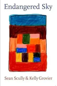 Endangered Sky: Sean Scully & Kelly Grovier, Hardback/***