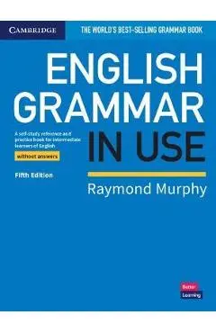 English Grammar in Use Book Without Answers: A Self-Study Reference and Practice Book for Intermediate Learners of English - Raymond Murphy