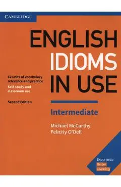 English Idioms in Use Intermediate Book with Answers