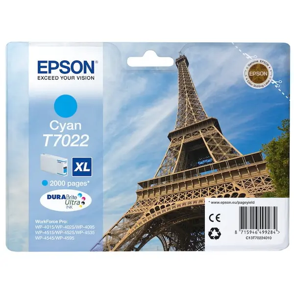 Epson Cartus Epson C13T70224010 Cyan
