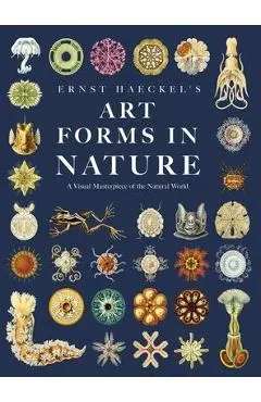 Ernst Haeckel's Art Forms in Nature: A Visual Masterpiece of the Natural World - Ernst Haeckel