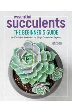 Essential Succulents: The Beginner's Guide - Ken Shelf