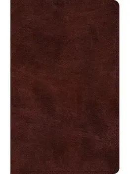 ESV Large Print Thinline Bible/***