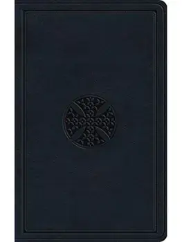 ESV Large Print Value Thinline Bible/***