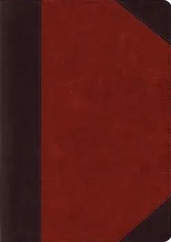 ESV Study Bible, Large Print (Trutone, Brown/Cordovan, Portfolio Design), Hardcover/***